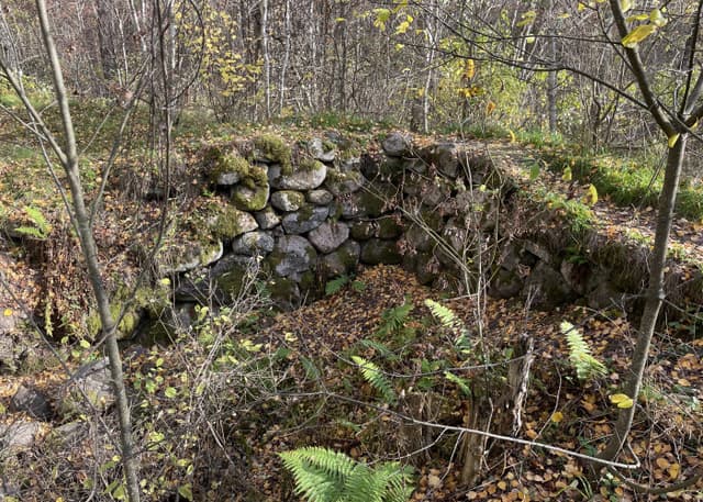 Тиверская крепость (городище). Фотография 4