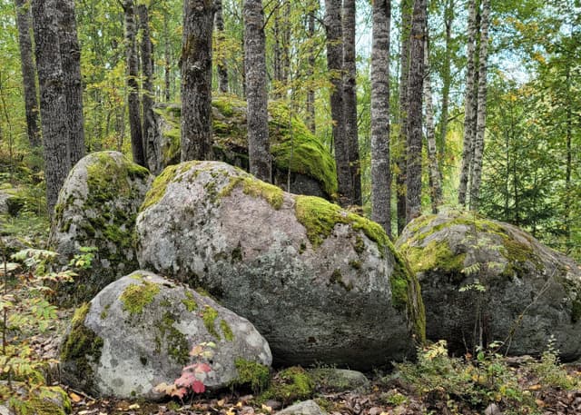 Тиверская крепость (городище). Фотография 3