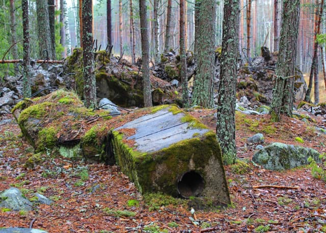 ДОТ №6 Укрепрайона Инкиля. Фотография 3