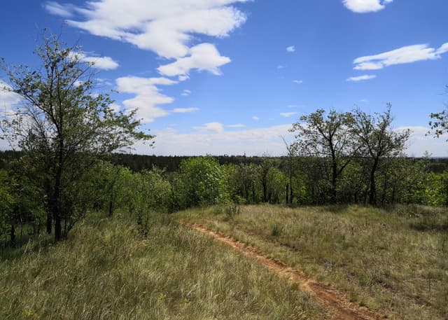 Экопарк "Качкарский Мар" (Качкарка). Фотография 2