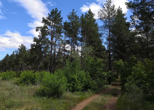 Экопарк "Качкарский Мар" (Качкарка). Фотография 1