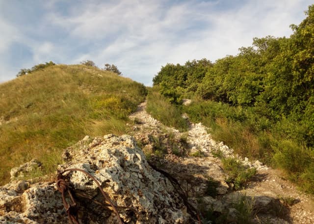 Гора Барсук (Самара). Фотография 3
