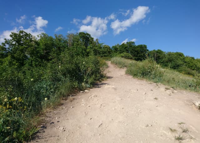 Гора Барсук (Самара). Фотография 2