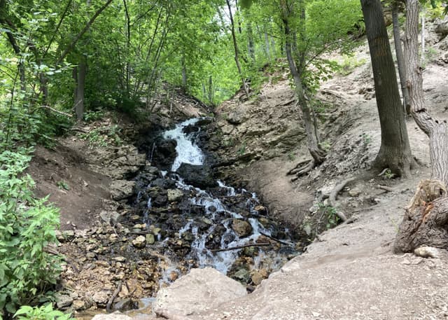 Коптев овраг. Фотография 1