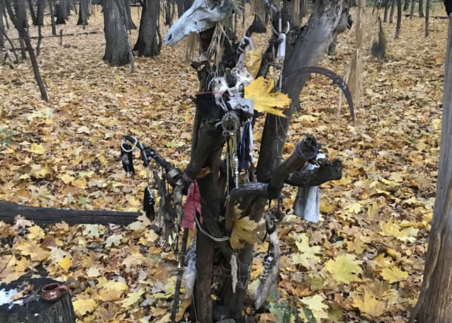 Капище Велеса. Фотография 2