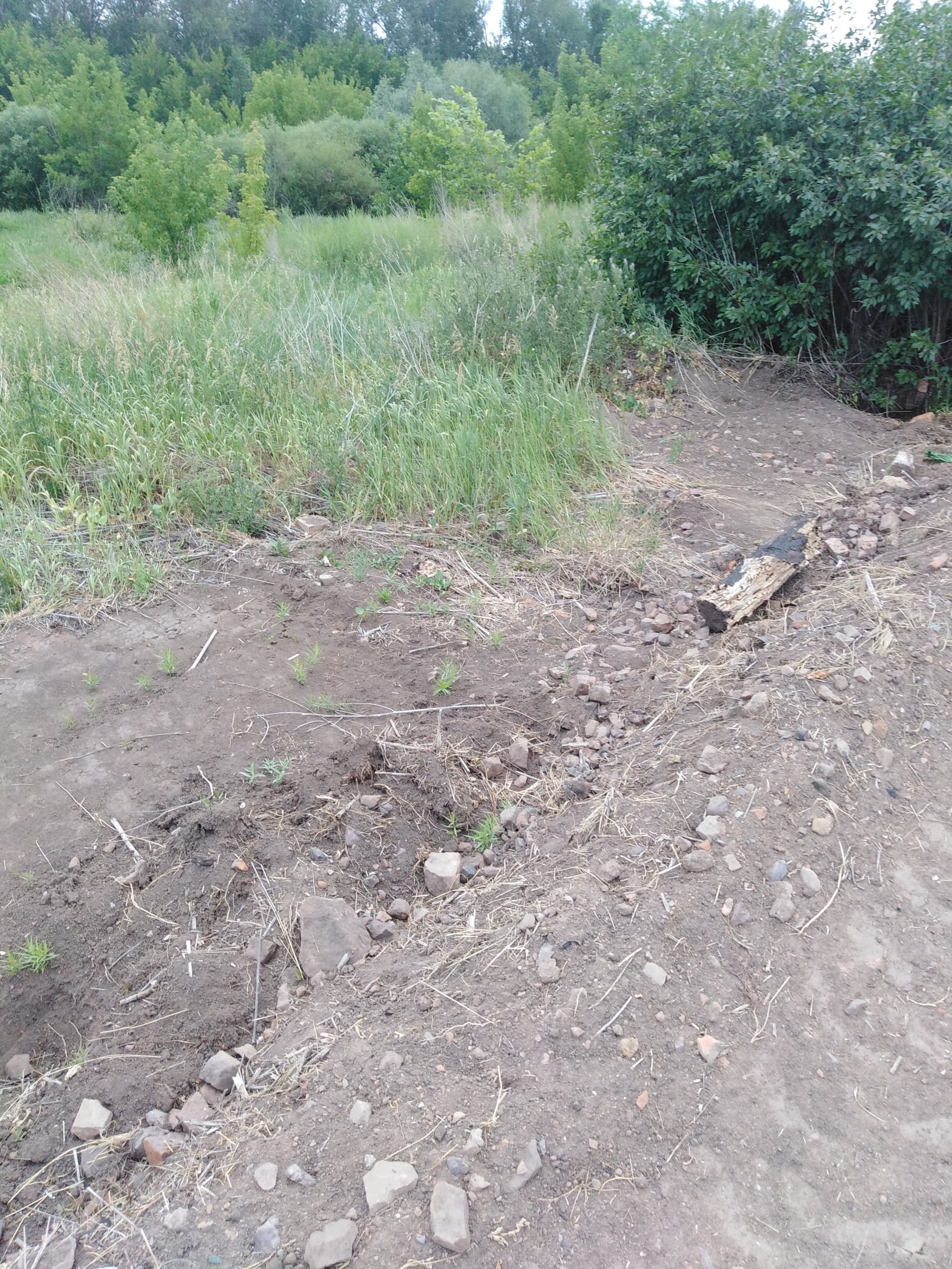 Remains of the 18th century baths of the Orenburg fortress — photo 1