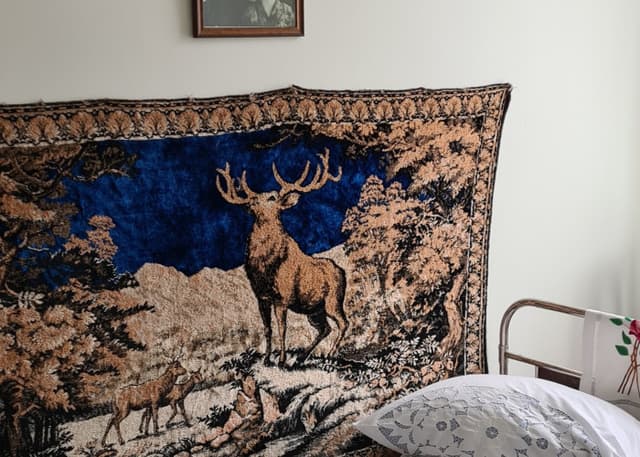 Дом-музей Гагариных (Оренбург). Фотография 3