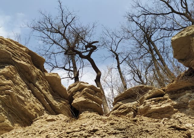 Скала Голова. Фотография 1