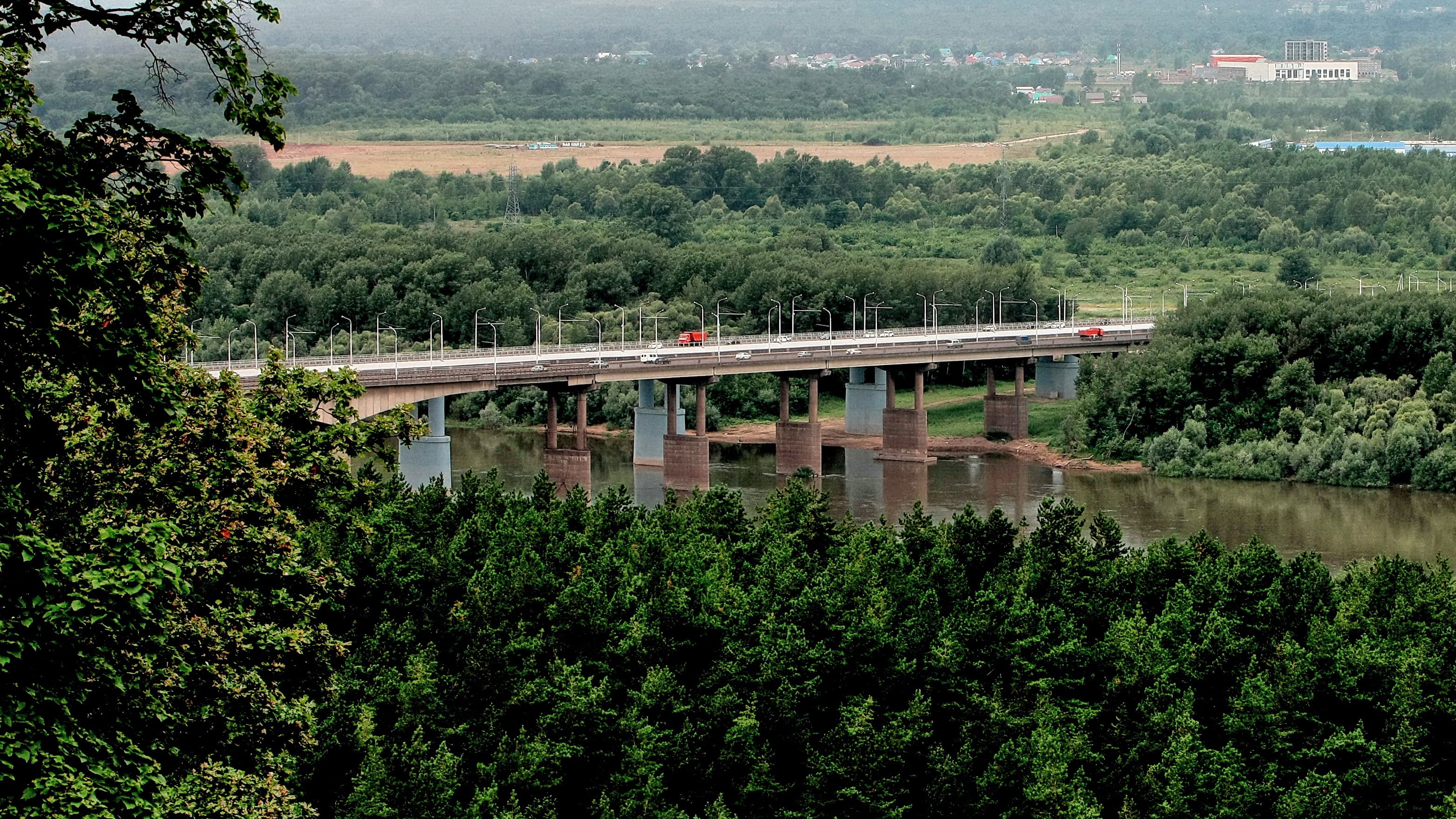 Zatonsky Bridge — photo 1
