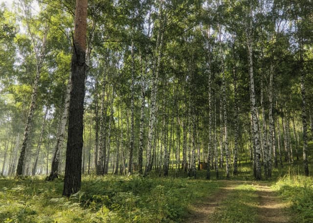 Антонова скала (река Белая). Фотография 1