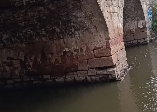 Царский мост. Фотография 4