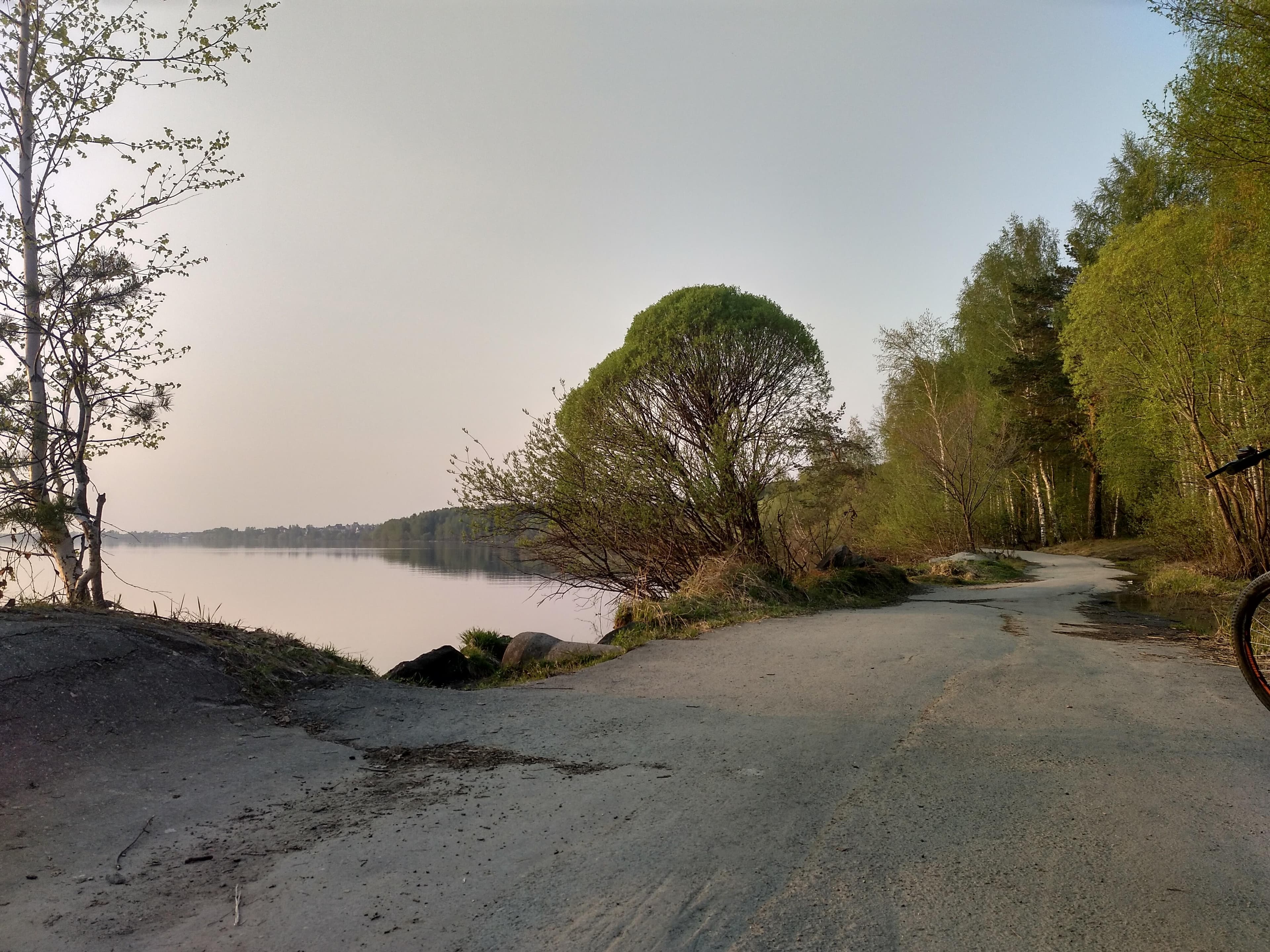 Shartash Forest Park — photo 1