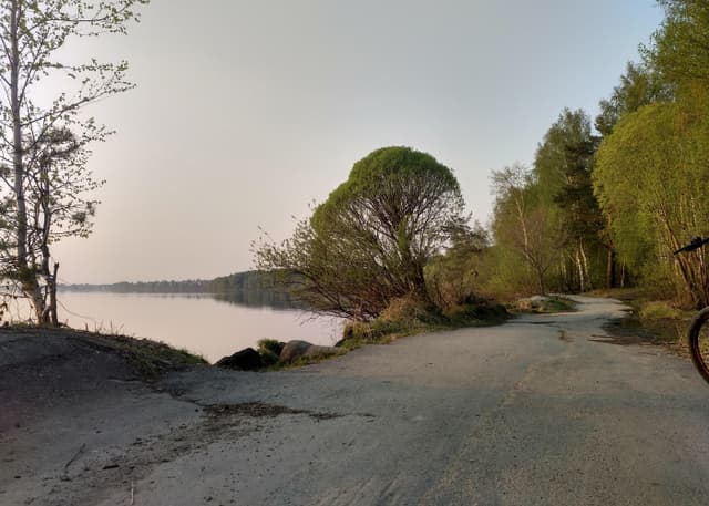 Шарташский лесопарк. Фотография 16