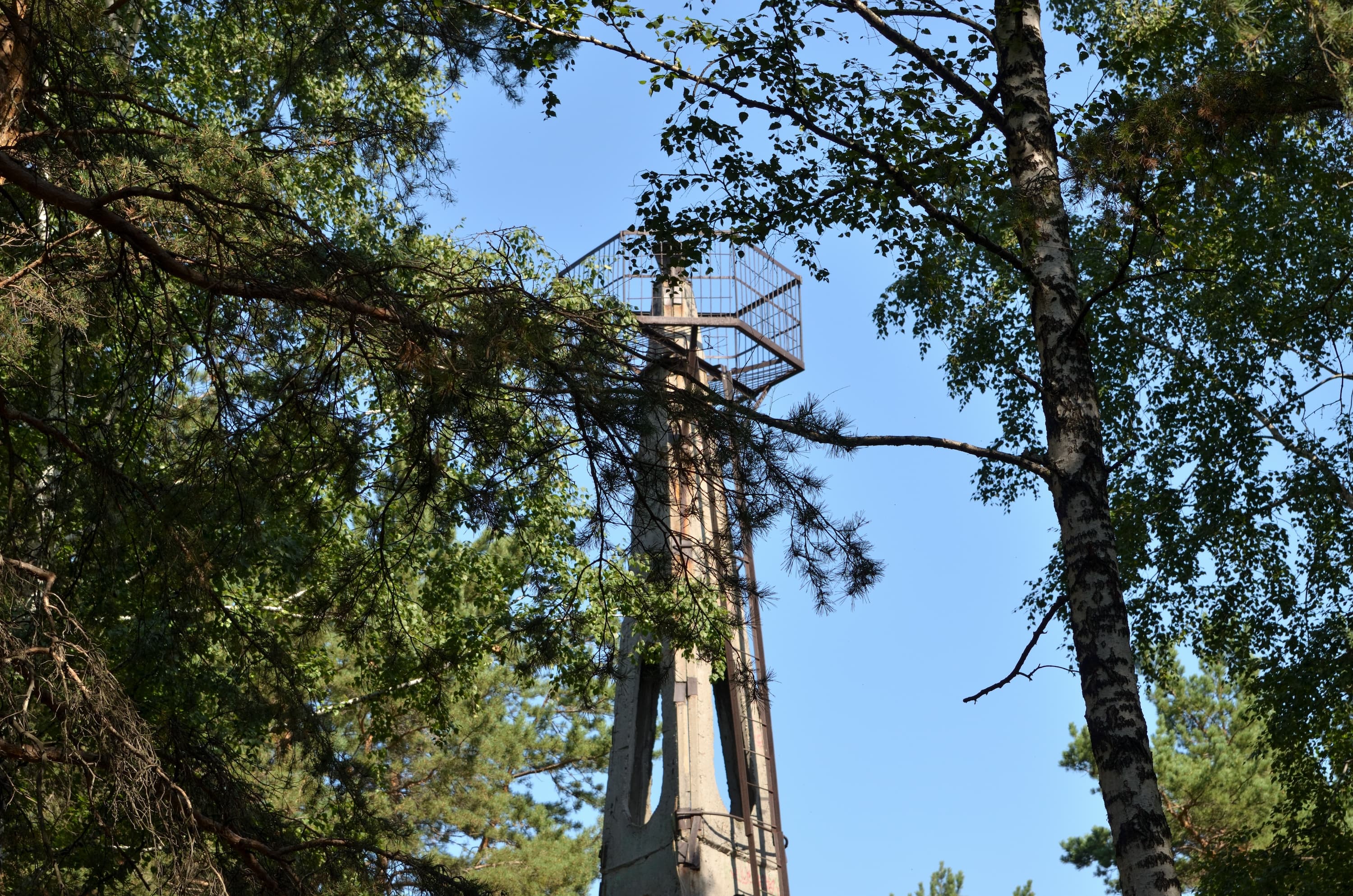 Tower in Shartashsky forest park — photo 2