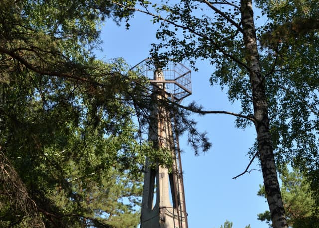Вышка в Шарташском лесопарке. Фотография 14