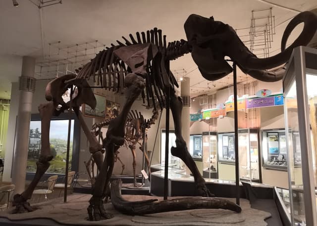 Музей природы Урала. Фотография 29