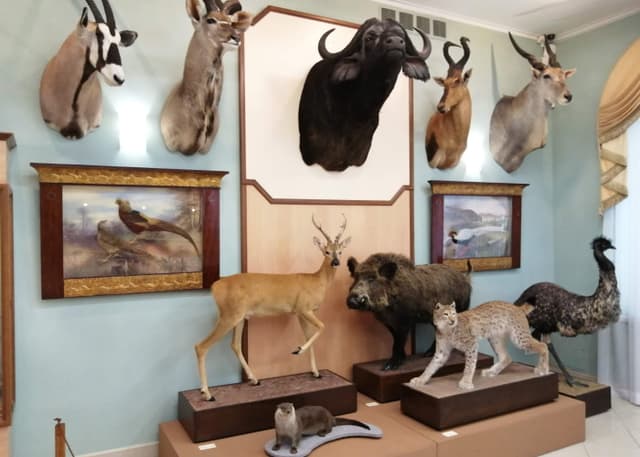 Музей природы Урала. Фотография 28