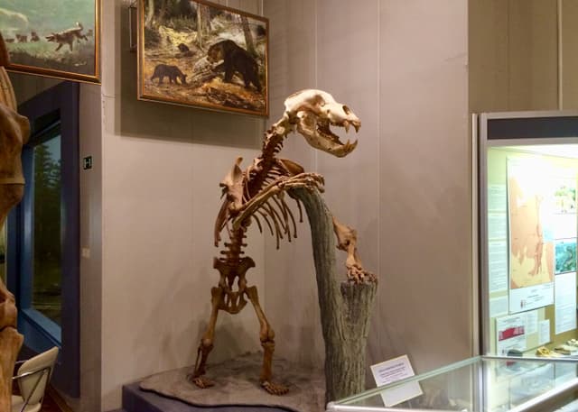 Музей природы Урала. Фотография 27