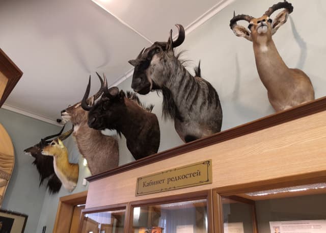 Музей природы Урала. Фотография 26