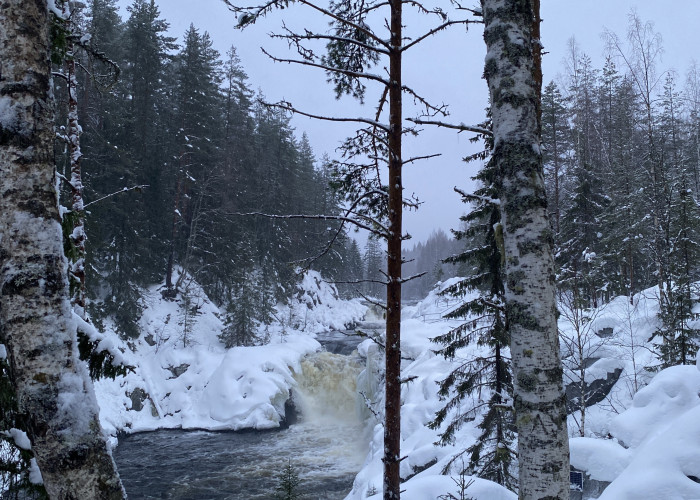 Водопад Кивач. Фотография 2