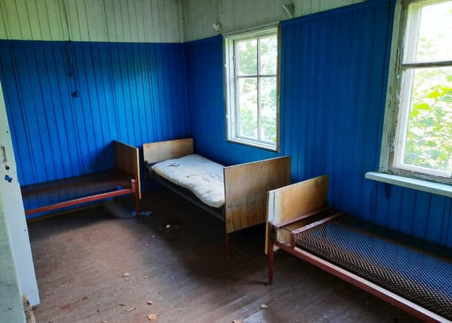 Крестовая поляна. Фотография 24