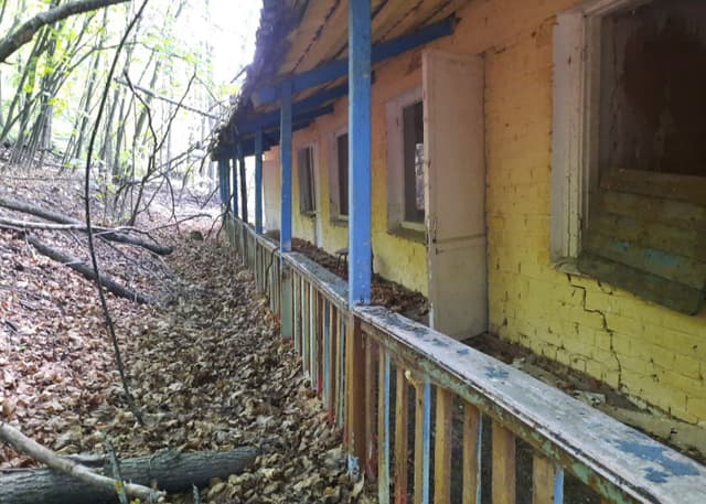 Крестовая поляна. Фотография 23