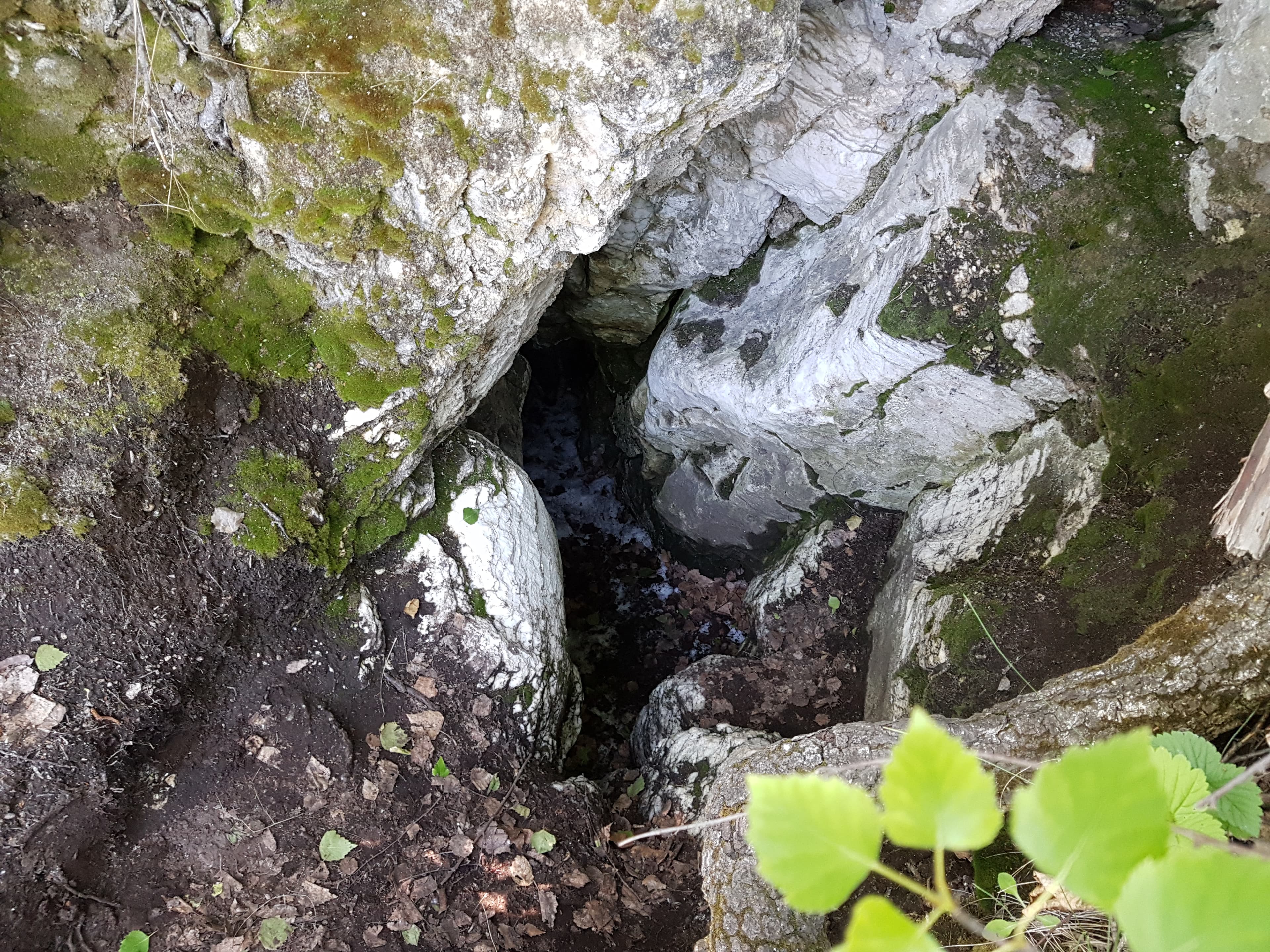 Ice Cave (Rotten) — photo 2