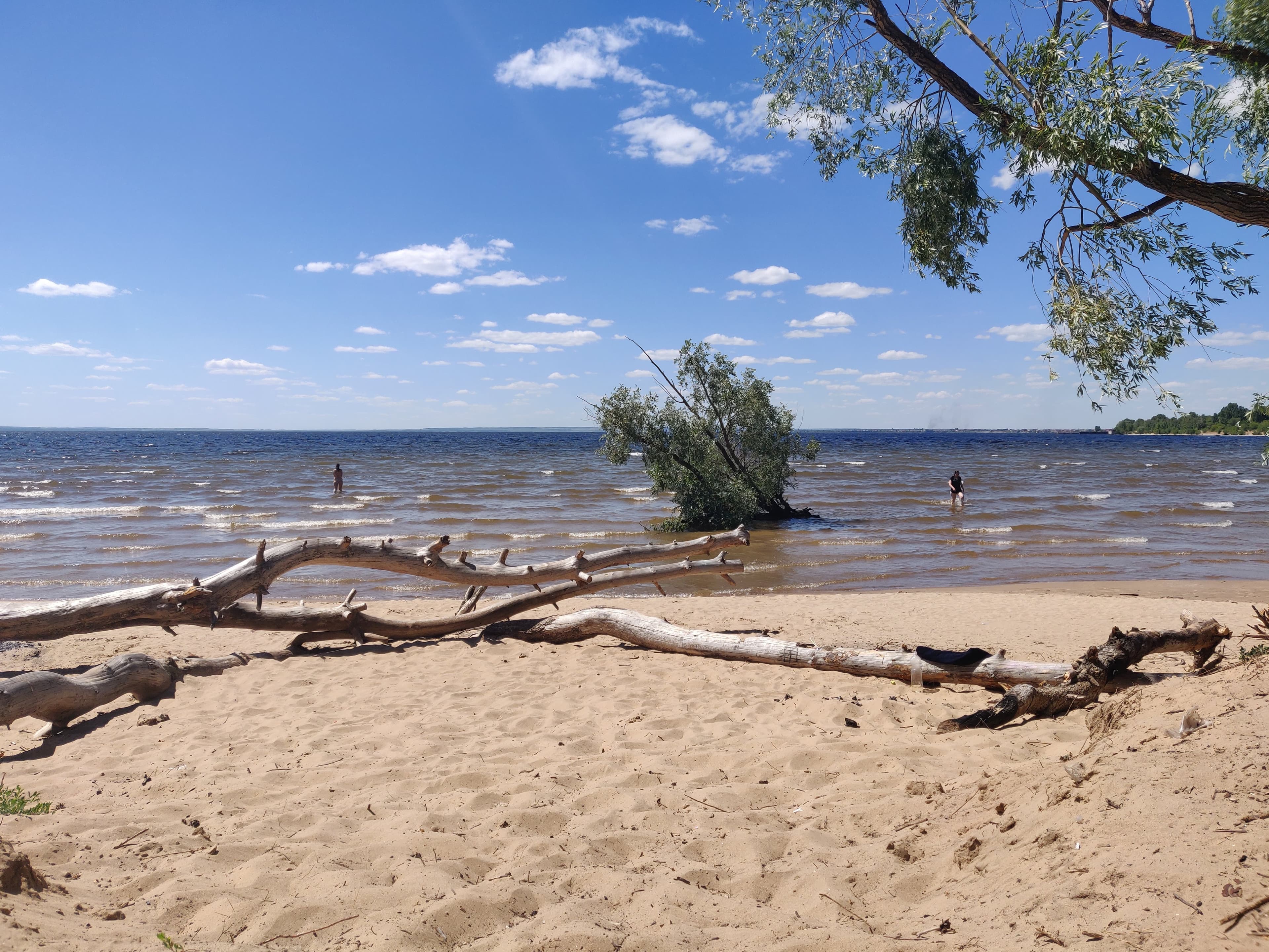Ant Islands — photo 2