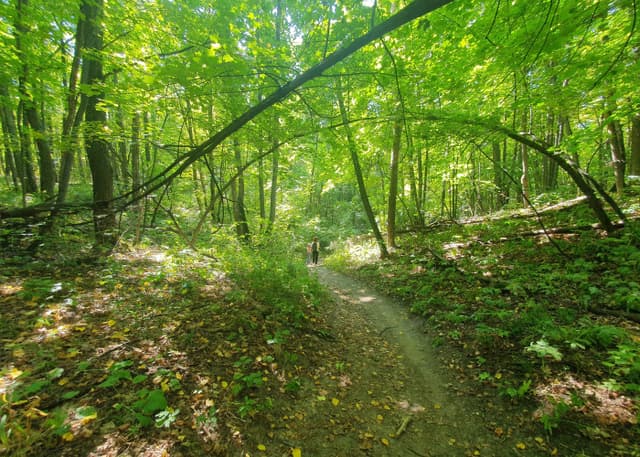 Кумысная поляна. Фотография 2