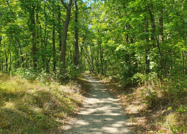 Кумысная поляна. Фотография 1