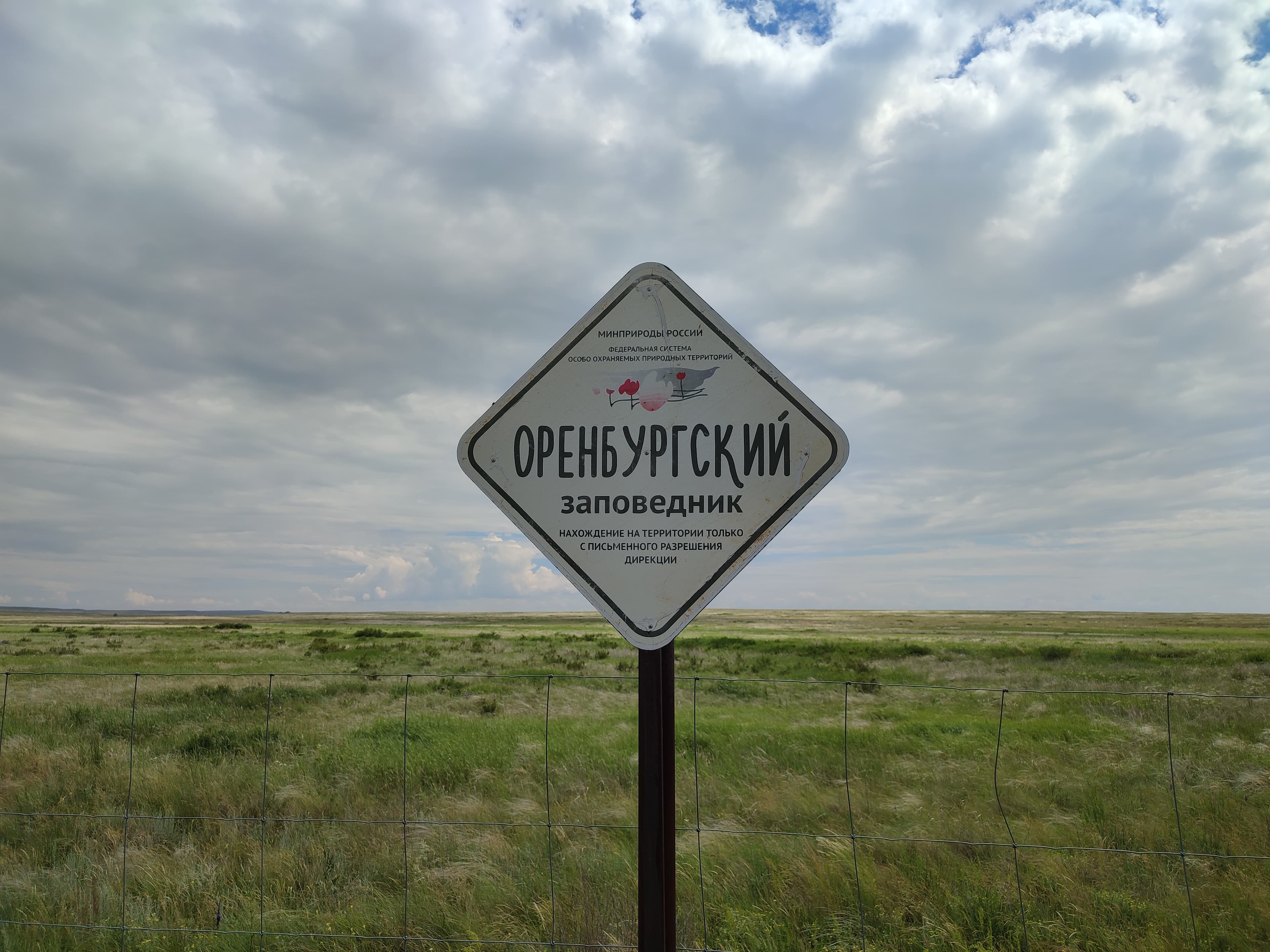 Центр реинтродукции лошади Пржевальского — фотография 7