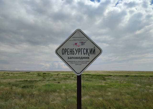 Центр реинтродукции лошади Пржевальского. Фотография 7