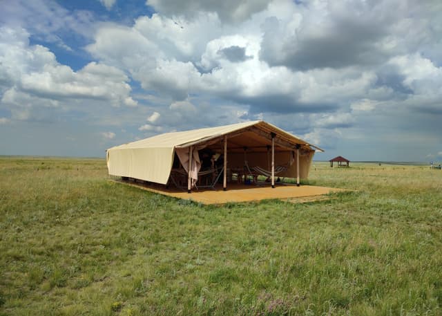 Центр реинтродукции лошади Пржевальского. Фотография 6