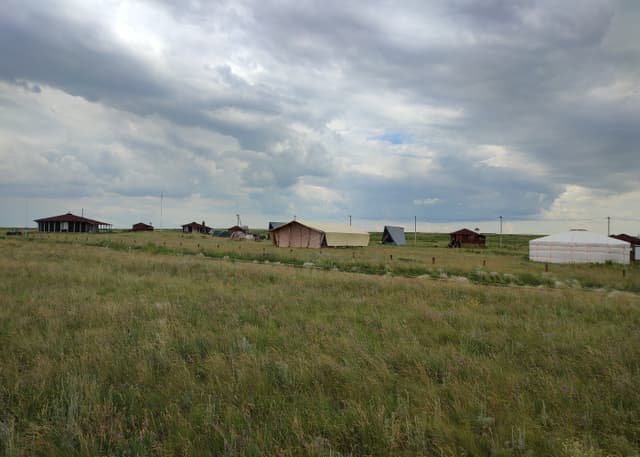 Центр реинтродукции лошади Пржевальского. Фотография 5