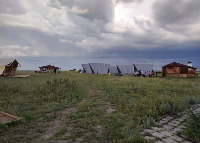 Центр реинтродукции лошади Пржевальского. Фотография 1