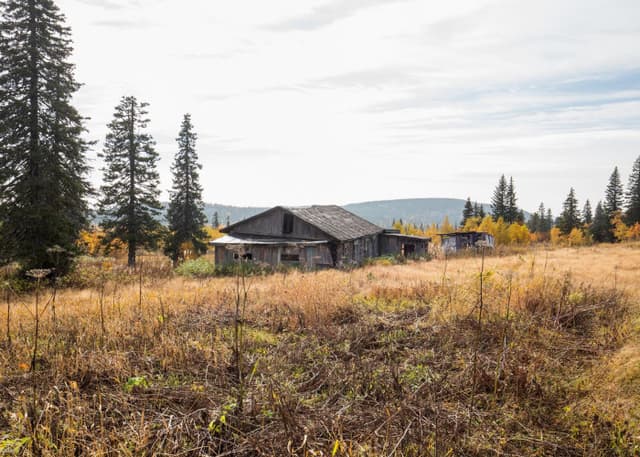 Заброшенная территория ВЧ 12764. Фотография 12