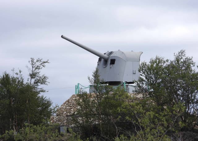 Корабельная пушка-памятник (Заполярный). Фотография 2