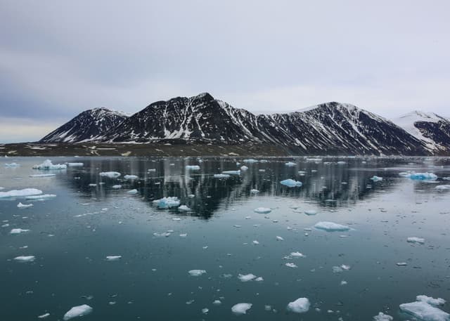 Национальный парк Русская арктика. Фотография 31