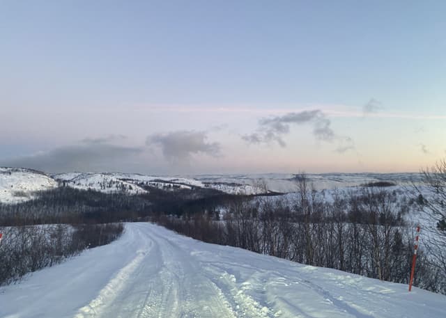 Пос.Рейтинское, заброшенный. Фотография 6