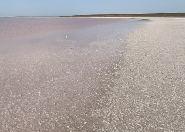 Можарское розовое озеро. Фотография 4