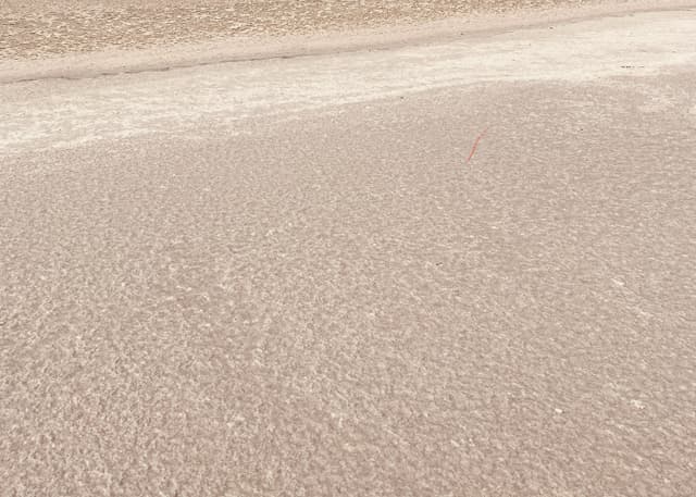 Можарское розовое озеро. Фотография 3