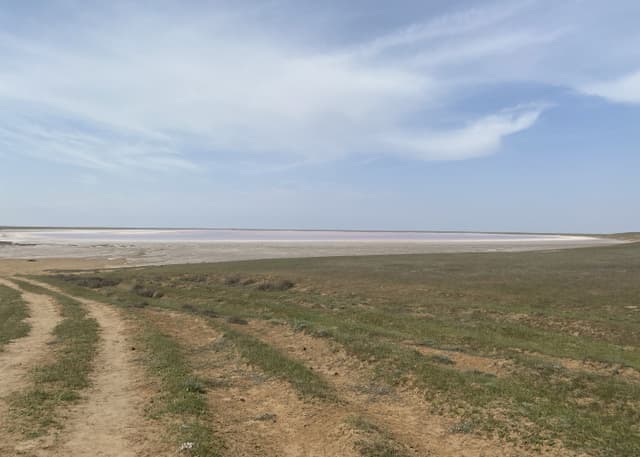 Можарское розовое озеро. Фотография 2