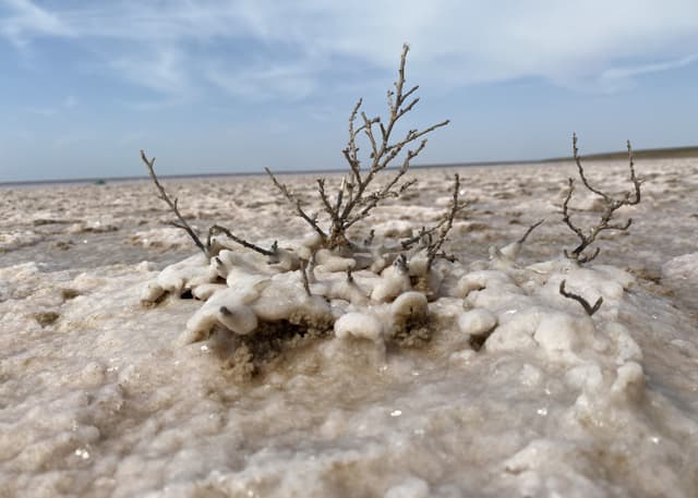 Можарское розовое озеро. Фотография 1