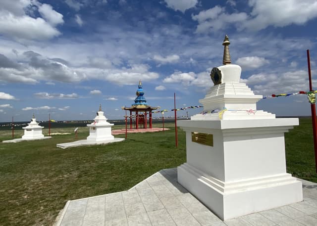 Одинокий тополь. Фотография 3