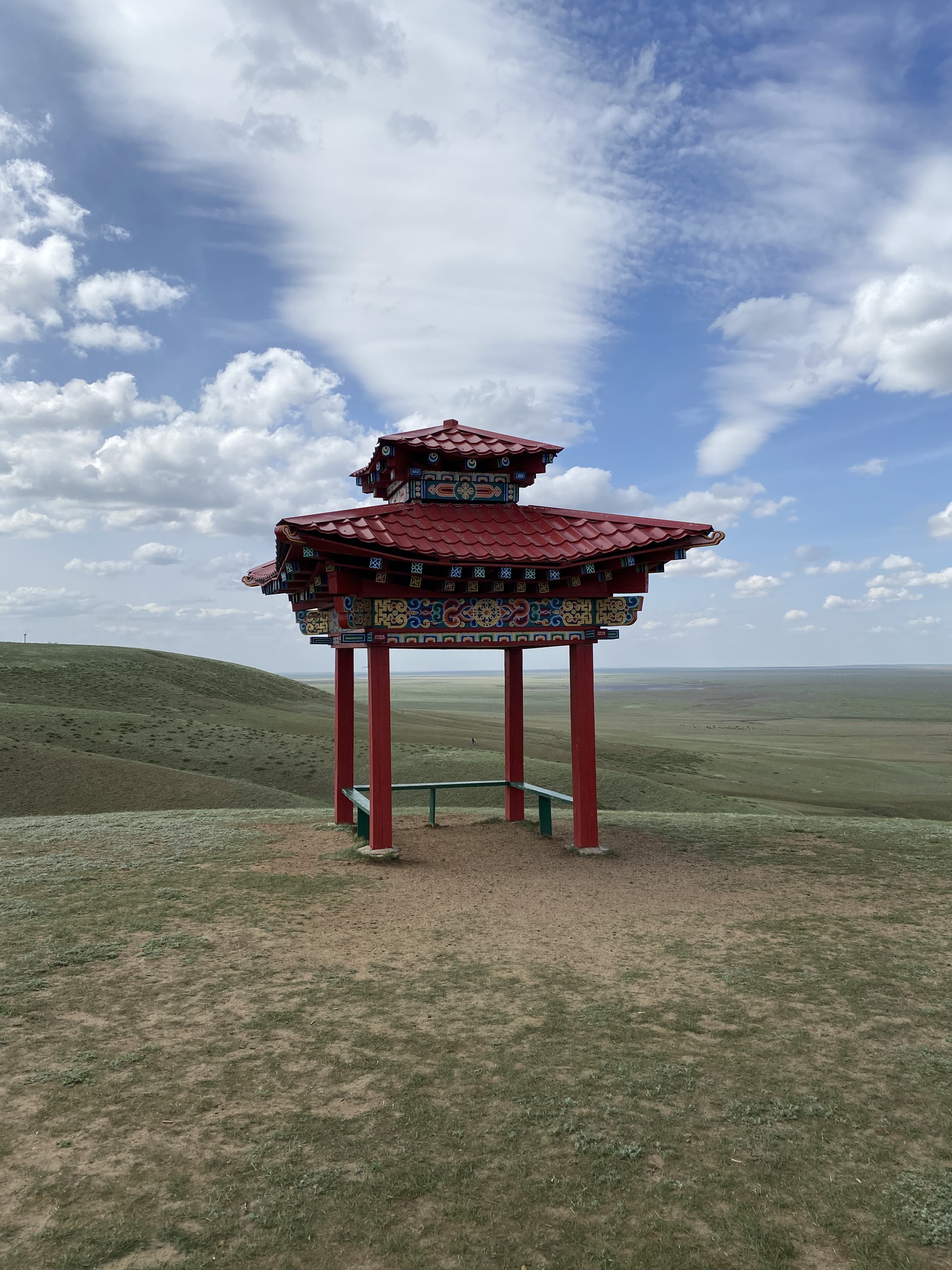 Одинокий тополь (Хар-Булук) — фотография 4