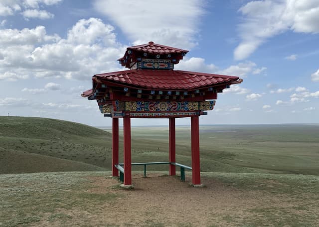 Одинокий тополь. Фотография 4