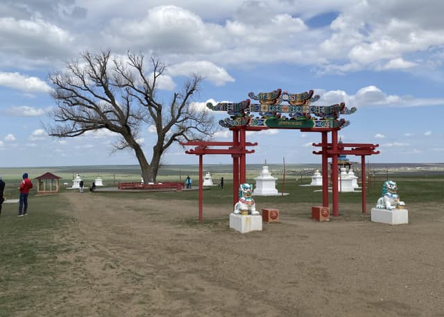 Одинокий тополь. Фотография 5