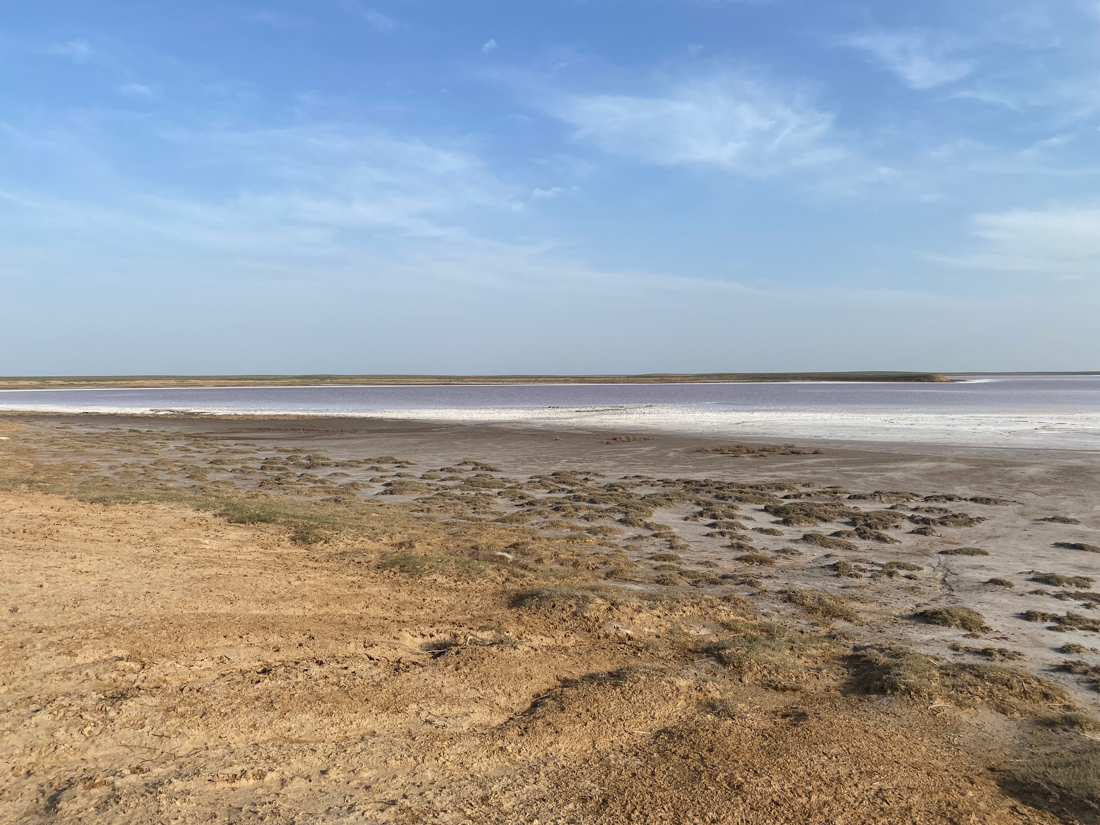 Mekletinskoye Pink Lake — photo 2
