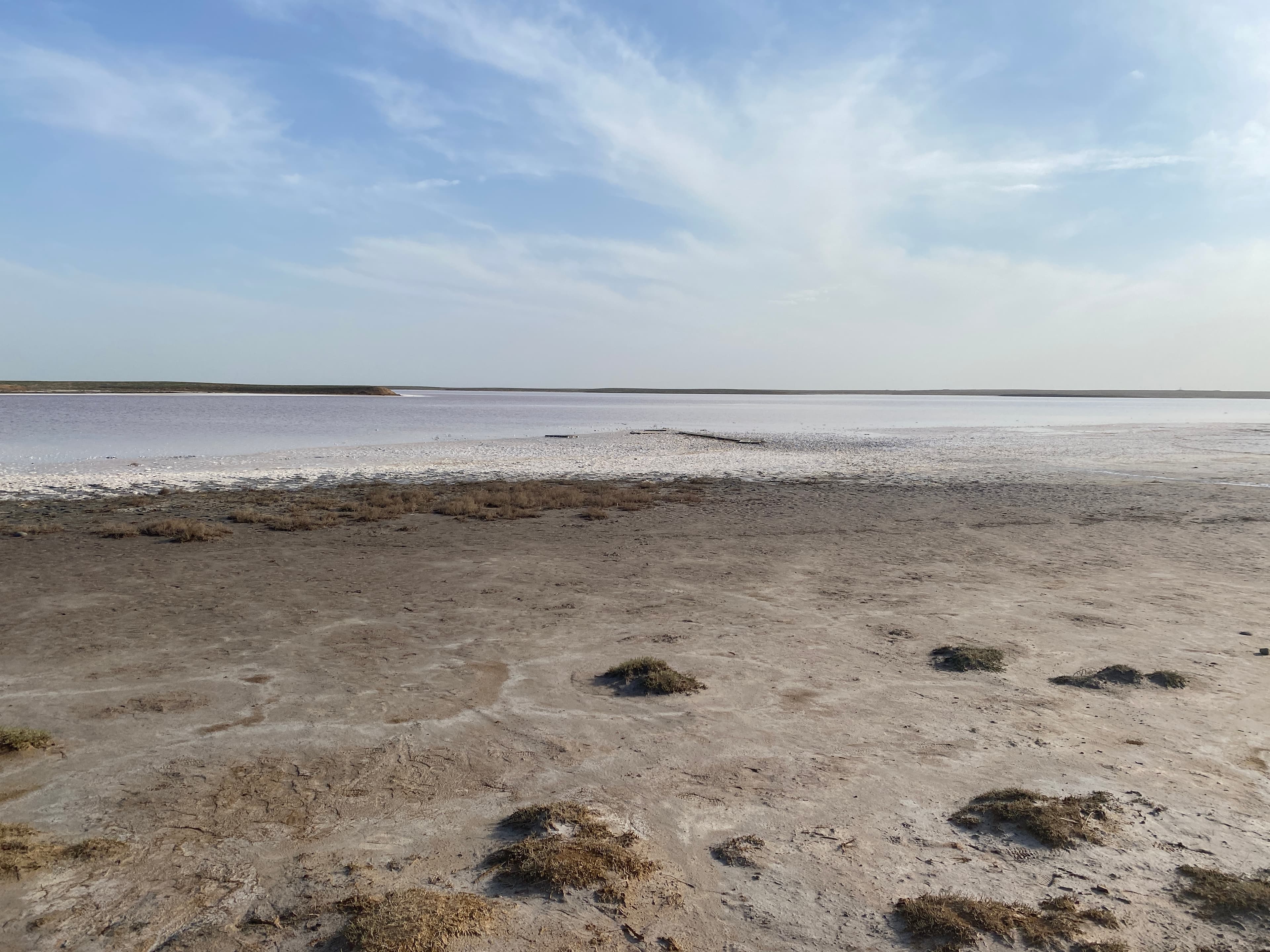 Mekletinskoye Pink Lake — photo 1