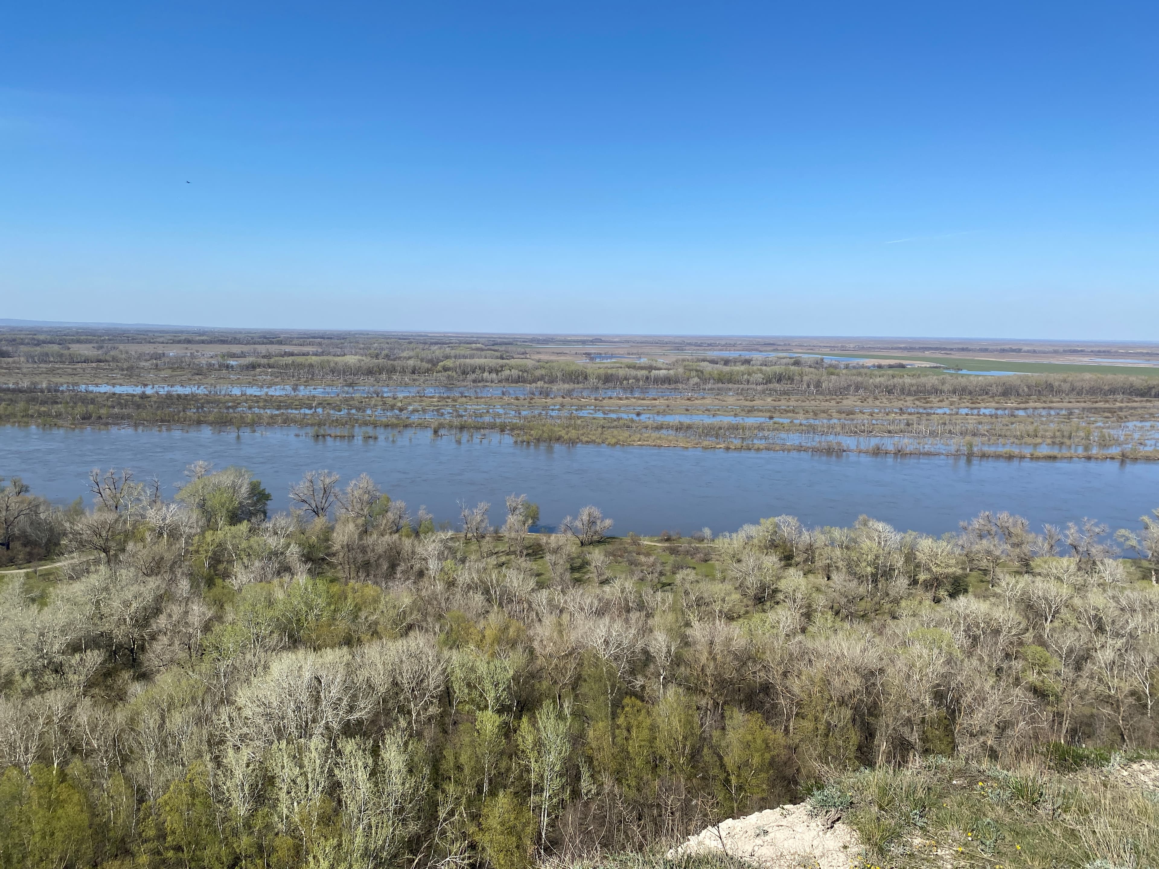 Donskoy Nature Park Viewpoint — photo 2